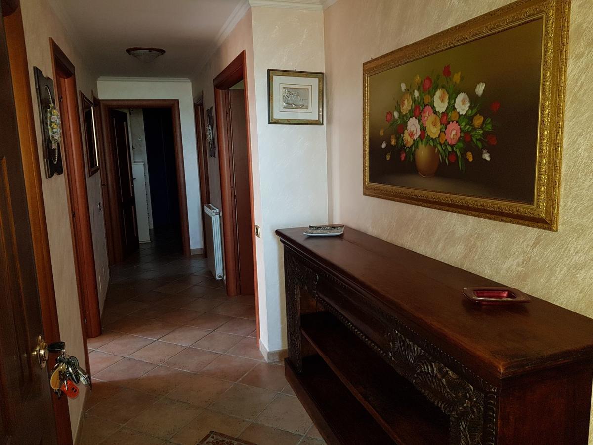 B&B Villa Elema Nettuno Exterior photo